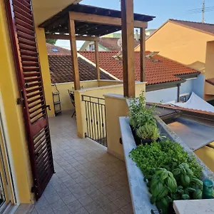 Rosy Rimini